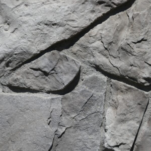 dungeness field stone